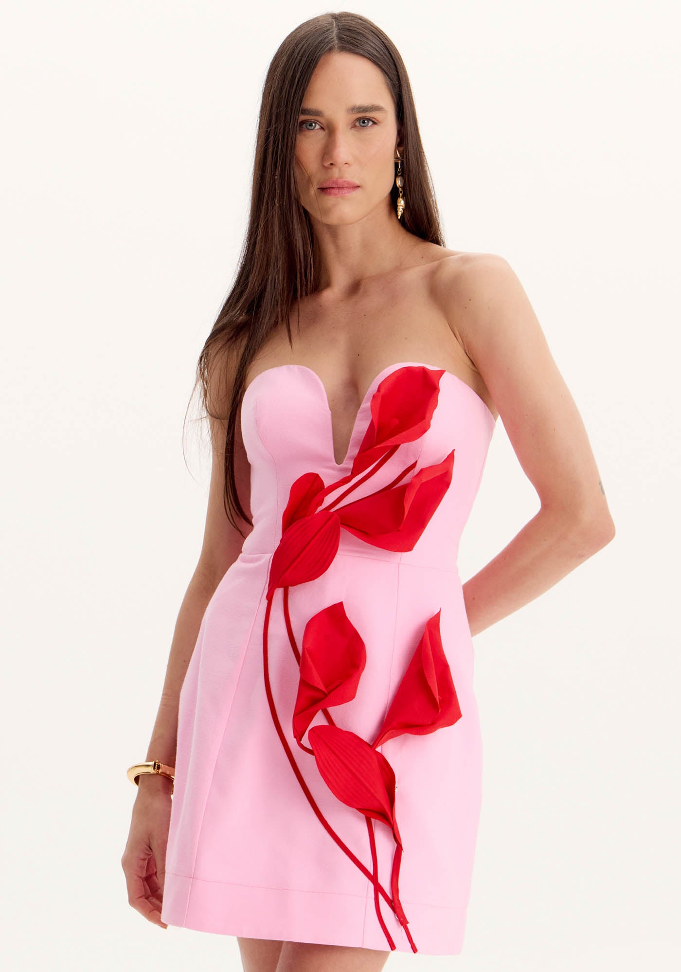 AMAR APPLIQUÉ PINK DRESS